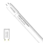 Noxion LED Röhre T8 Avant (EM/Mains) Standard Output 15W 1800lm - 840 Kaltweiß | 120cm - Ersatz Für 36W